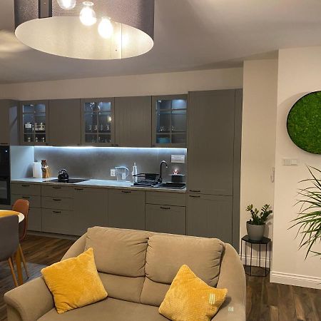 Apartament Moniuszki غوجوف فييلكوبولسكي المظهر الخارجي الصورة